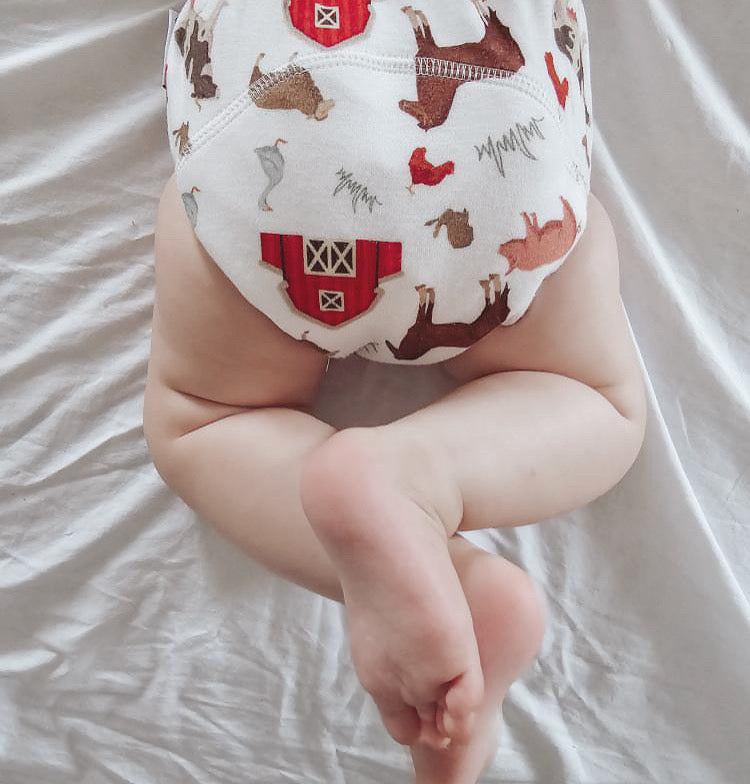 Barnyard Buddies - Training Pants