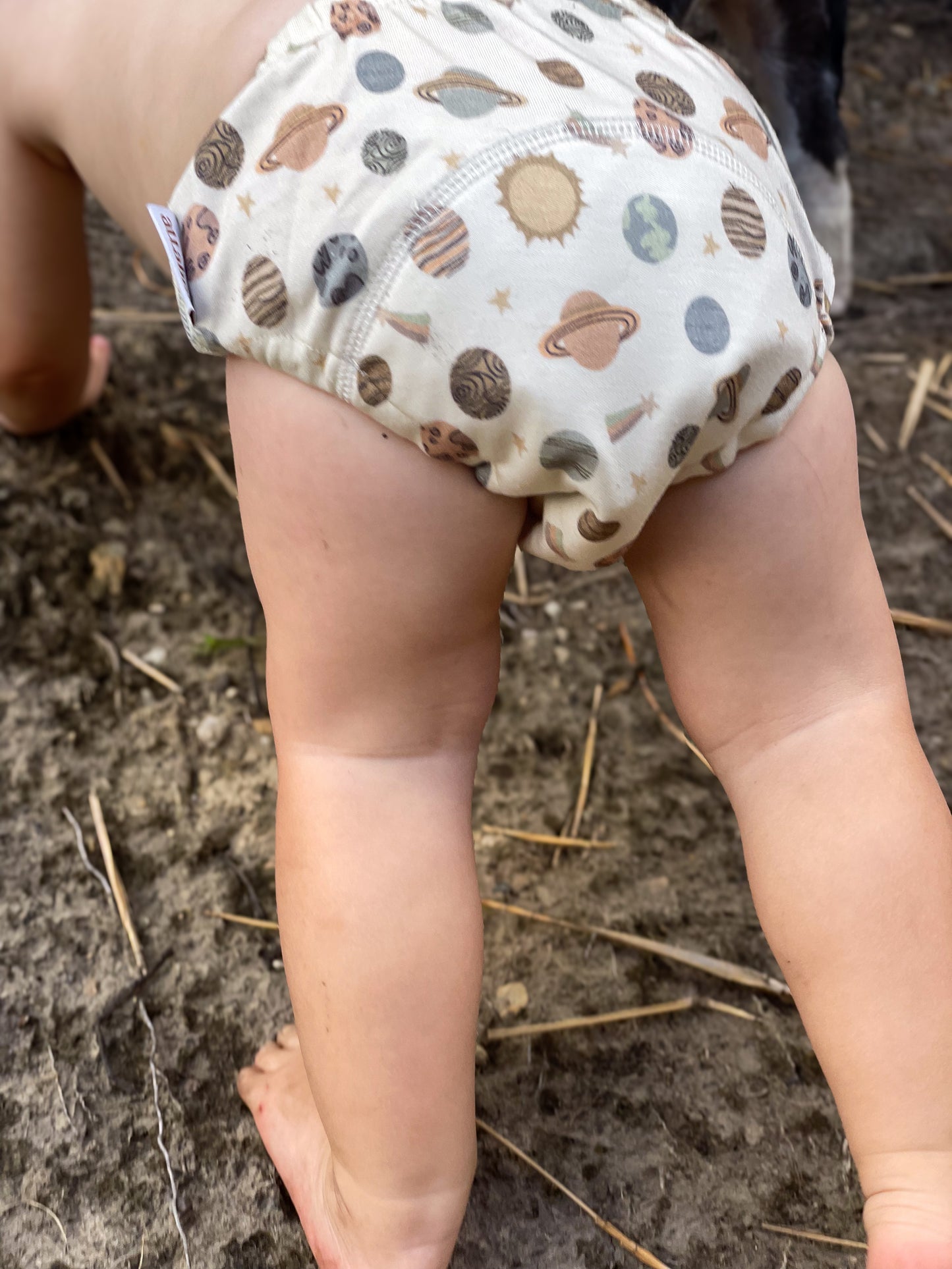 Planet Pals - Training Pants