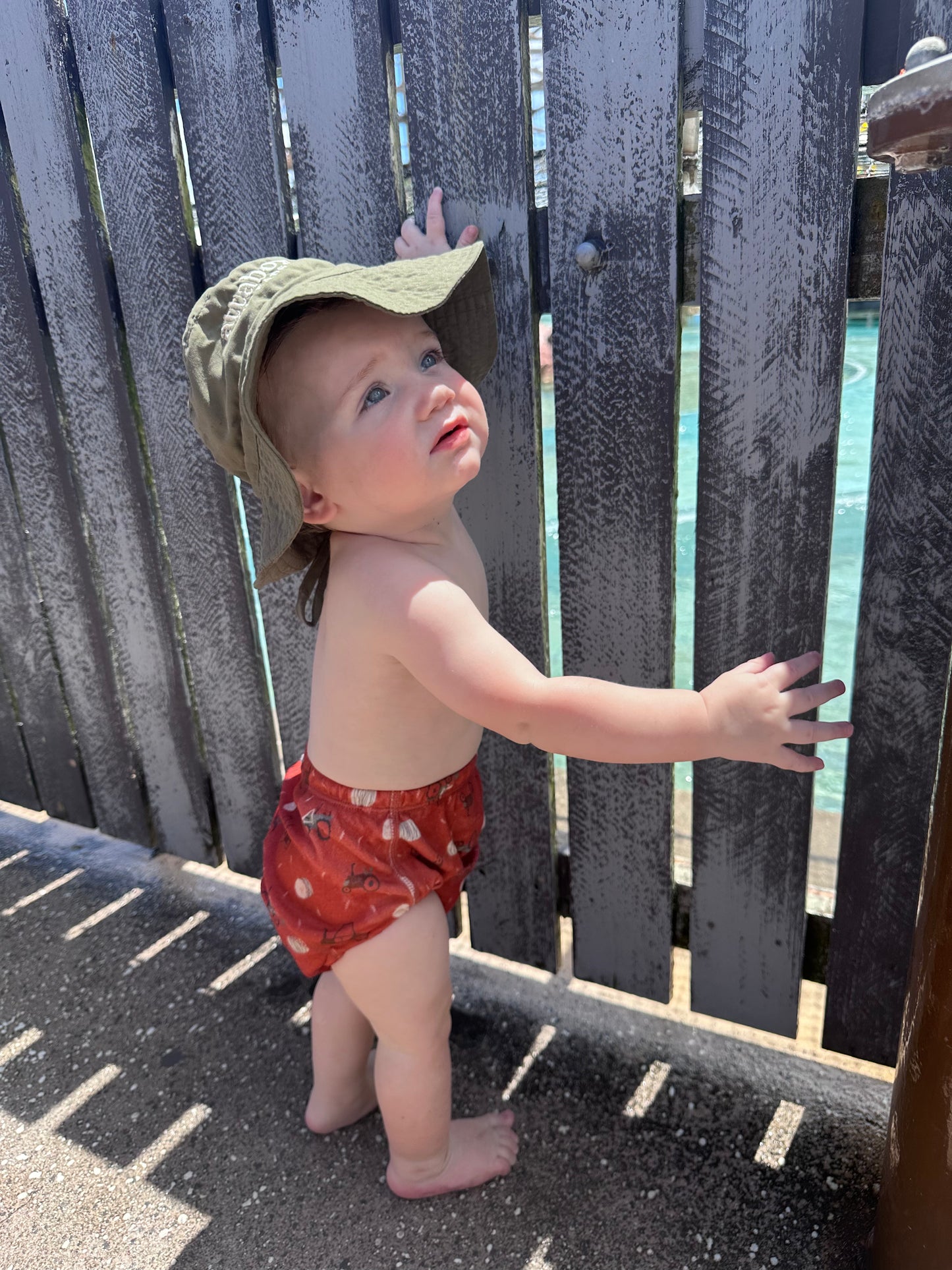 Tractor Tricks - Training Pants